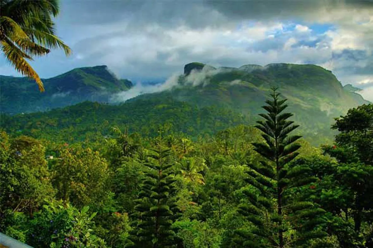 Sceva'S Garden Home Munnar