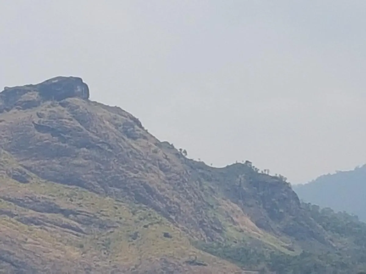 Sceva'S Garden Home Munnar India